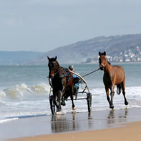 Moderne En Bord De Cabourg